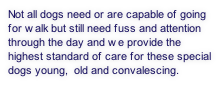 Not all dogs need or are capable of going for walk but still need fuss and attention through the day and we provide the highest standard of care for these special dogs young,  old and convalescing.


 

